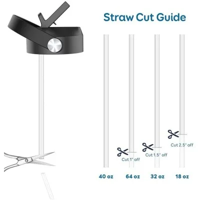 Buzio Replacement BPA Free Straws For All Buzio Bottle